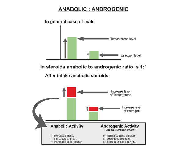 What exactly is Anabolic to Androgenic ratio?