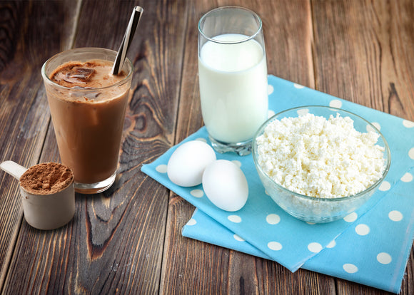 What are Casein, Egg white protein and Vegetable protein?
