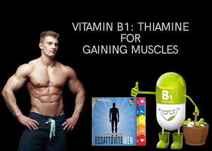 Vitamin B1: Essential micro nutrients for muscle growth